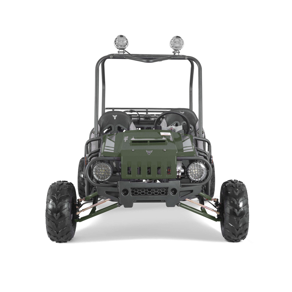 Tao Motor 4x4 dune buggy for sale buggy 4x4 price china dune buggy