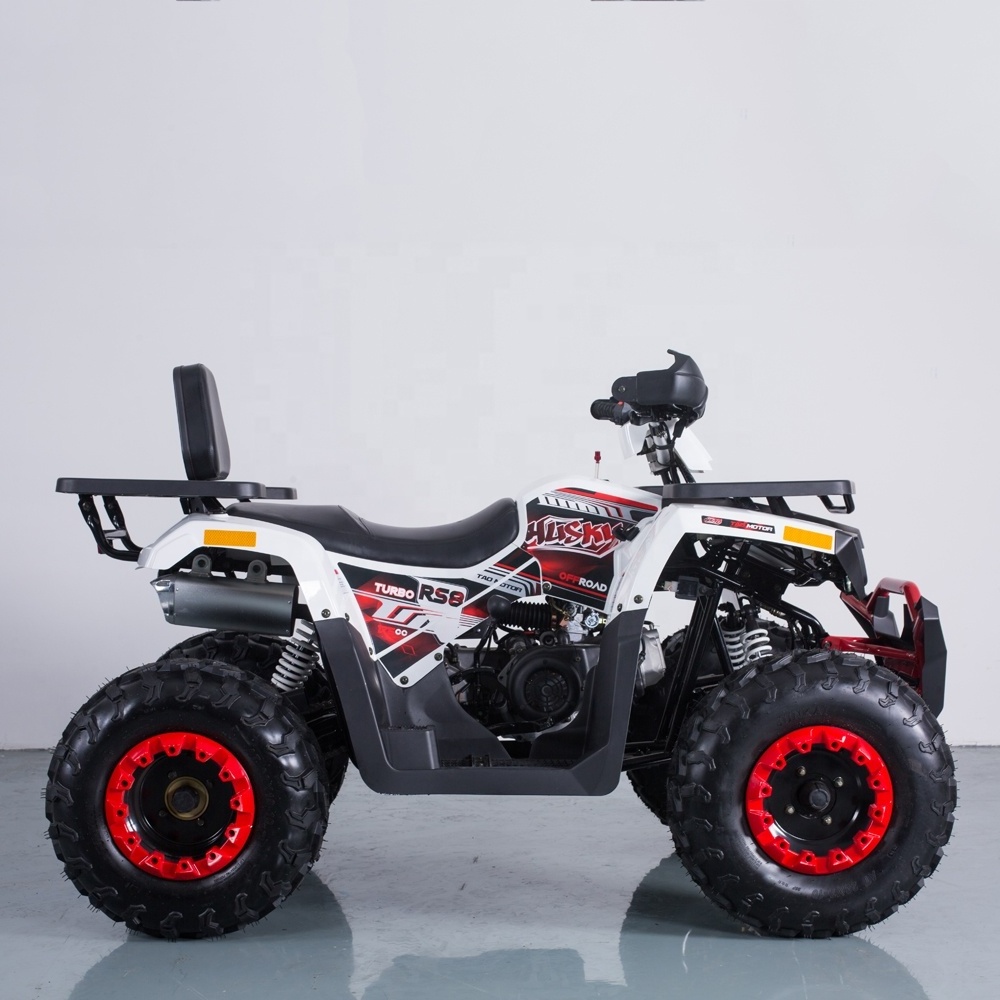 Tao Motor 200cc Quad 1000cc Automatic 36V Atv 125cc Quad Bike Electric Start Utv 4x4 1000cc Chain Drive Rear Disc Brake 10inch