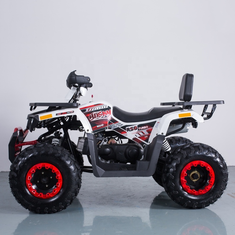 Tao Motor 200cc Quad 1000cc Automatic 36V Atv 125cc Quad Bike Electric Start Utv 4x4 1000cc Chain Drive Rear Disc Brake 10inch