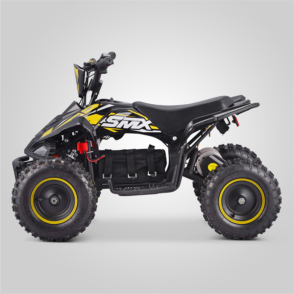 Tao Motor Mini Kids Electric ATVs Electric Quad