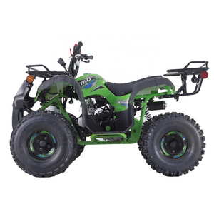 Tao Motor Kids Quadbike Off Road Vehicle 110cc ATV Automatic Atv 125cc Quad Bike Electric Start 125cc 4 Wheeler Chain Drive 2WD