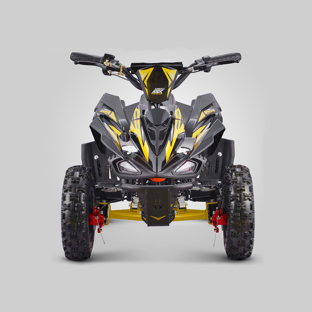 Tao Motor Mini Kids Electric ATVs Electric Quad