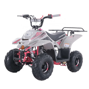 Tao Motor Gasoline Automatic Chain Drive Quad ATV 110cc with Reverse Gear