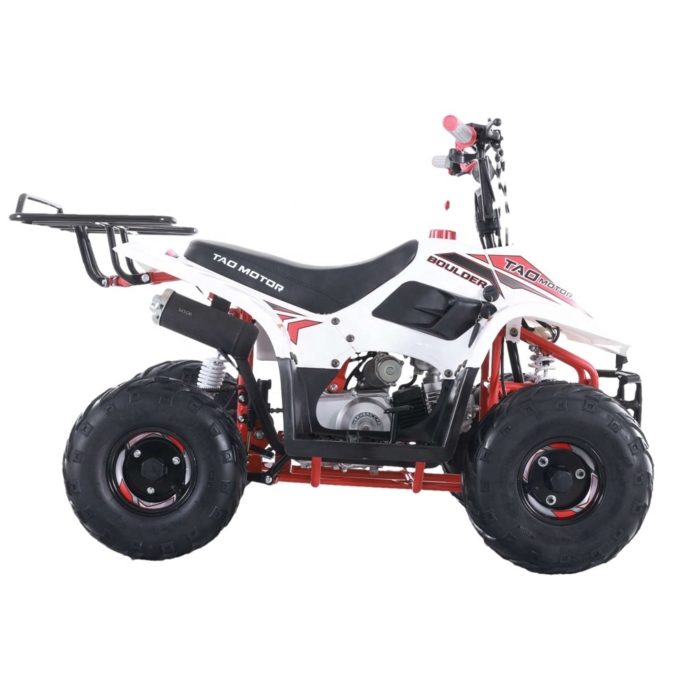 Tao Motor New Design Cheap Farm 4 Wheel Bike Cuatrimotos Automatic 110cc 125cc Quad Bike Atv for Kids New Boulder 3 Front Drum