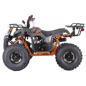 Tao Motor Automatic 12V 5AH Motor ATV 110 Customized All-terrain Four-wheel Beach Buggy Double Four-wheeler Adult Quad 1000cc