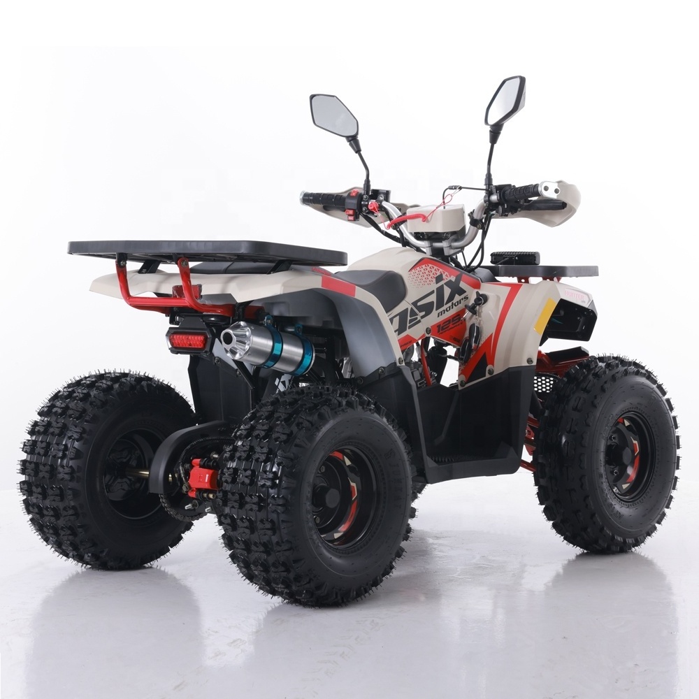 Tao Motor 2024 New ATV 125 Cheap Chinese Automatic Chain Drive Farm ATV 125cc ATV