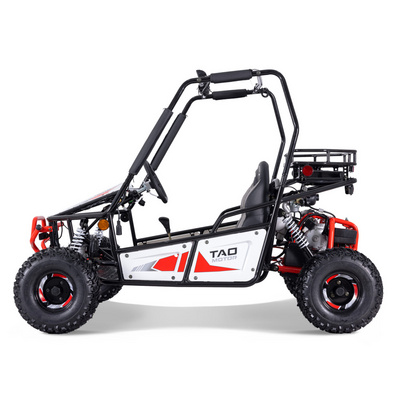 Tao Motor 2023 New Design Buggy 125cc Electric Go Karts for Adults BestSuppliers