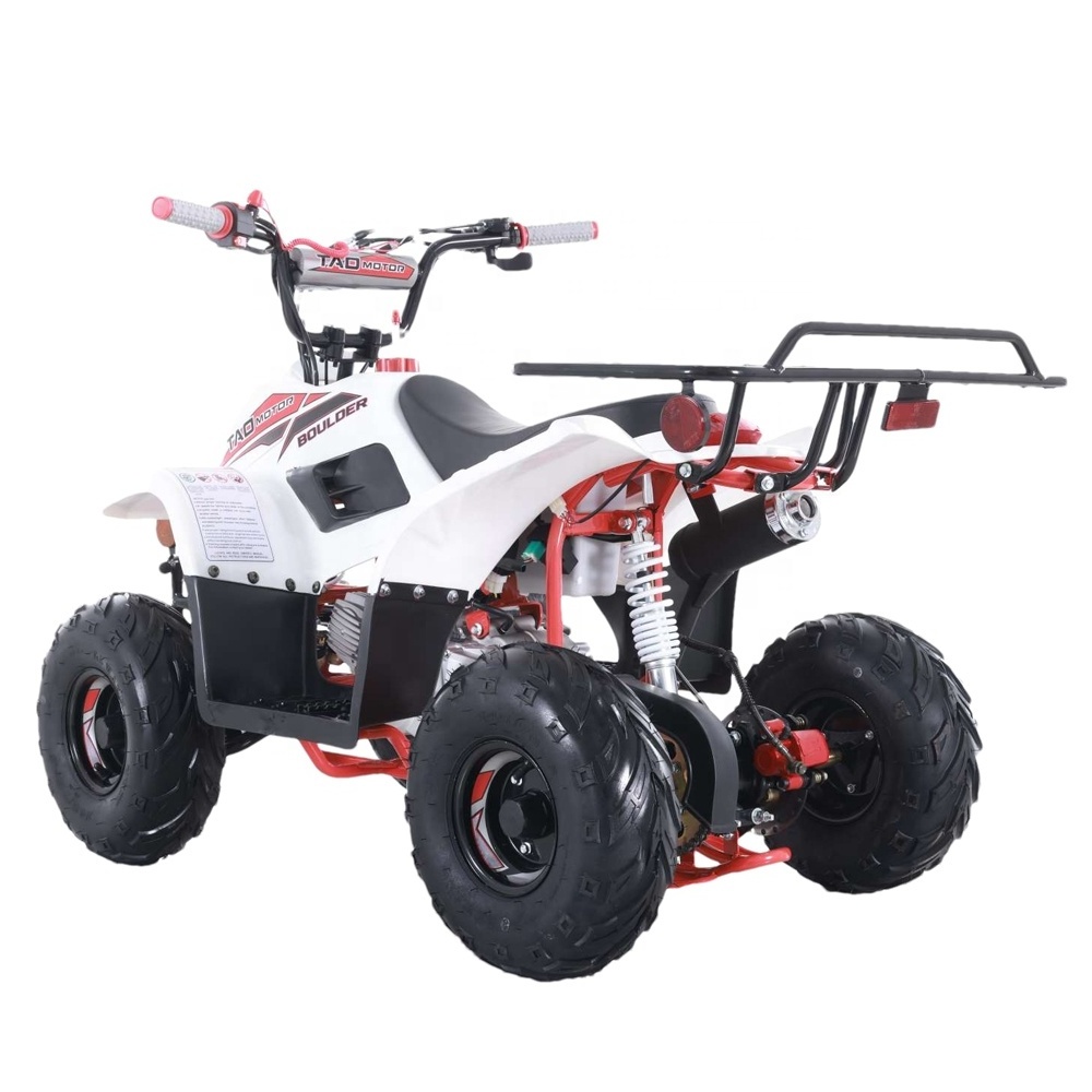 Tao Motor New Design Cheap Farm 4 Wheel Bike Cuatrimotos Automatic 110cc 125cc Quad Bike Atv for Kids New Boulder 3 Front Drum