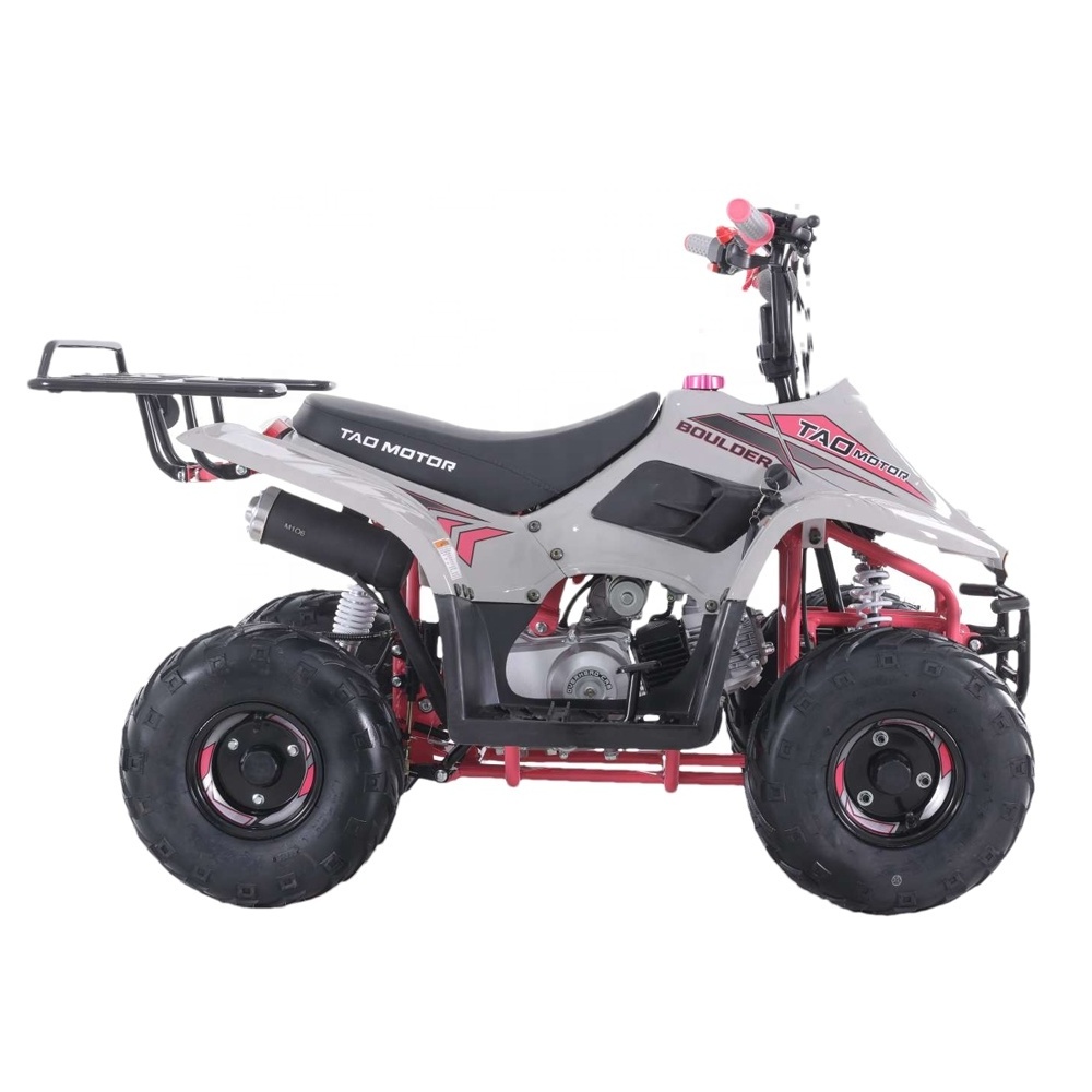 Tao Motor Gasoline Automatic Chain Drive Quad ATV 110cc with Reverse Gear