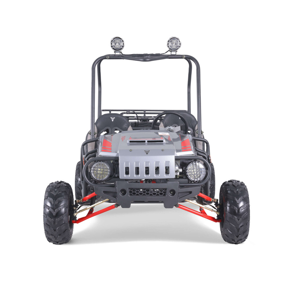 Tao Motor 125cc Buggy Car 4x4 Adults Dune Buggy for Adults Automatic Mini Car 150 Cc 36V Electric Start Chain Drive Gas / Diesel