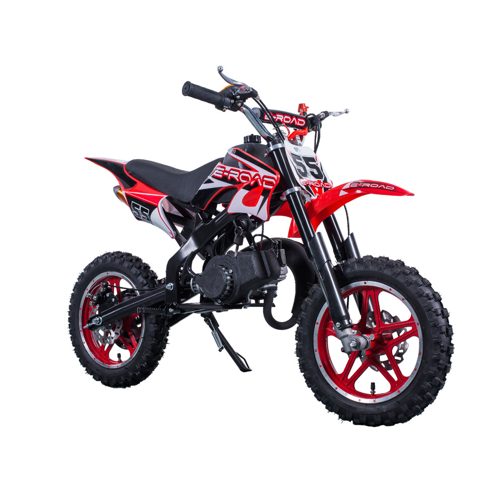 Tao Motor 2 stroke 49cc Kids Dirt Bike  DB10SA with CE