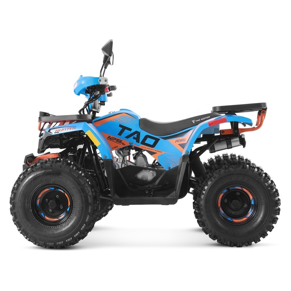 Tao Motor 2024 Electric Start Farm Cheap Quad Bike Automatic 4 stroke engine 125cc ATV for Kids