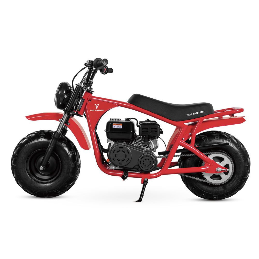 Tao Motor 2023 New Design Kids Petrol Mini Dirt Bike Mini Bike 200cc