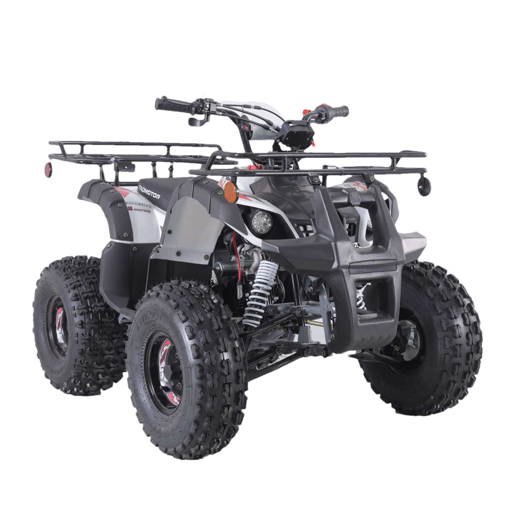 Tao Motor 110cc 125cc 150cc Farm ATV Motorcycle ATV Quad Bike ATV for Sale