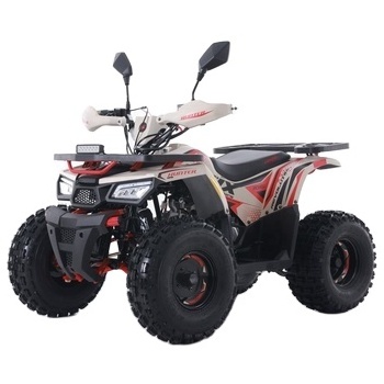 Tao Motor 2024 New ATV 125 Cheap Chinese Automatic Chain Drive Farm ATV 125cc ATV