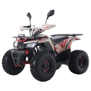 Tao Motor 2024 New ATV 125 Cheap Chinese Automatic Chain Drive Farm ATV 125cc ATV