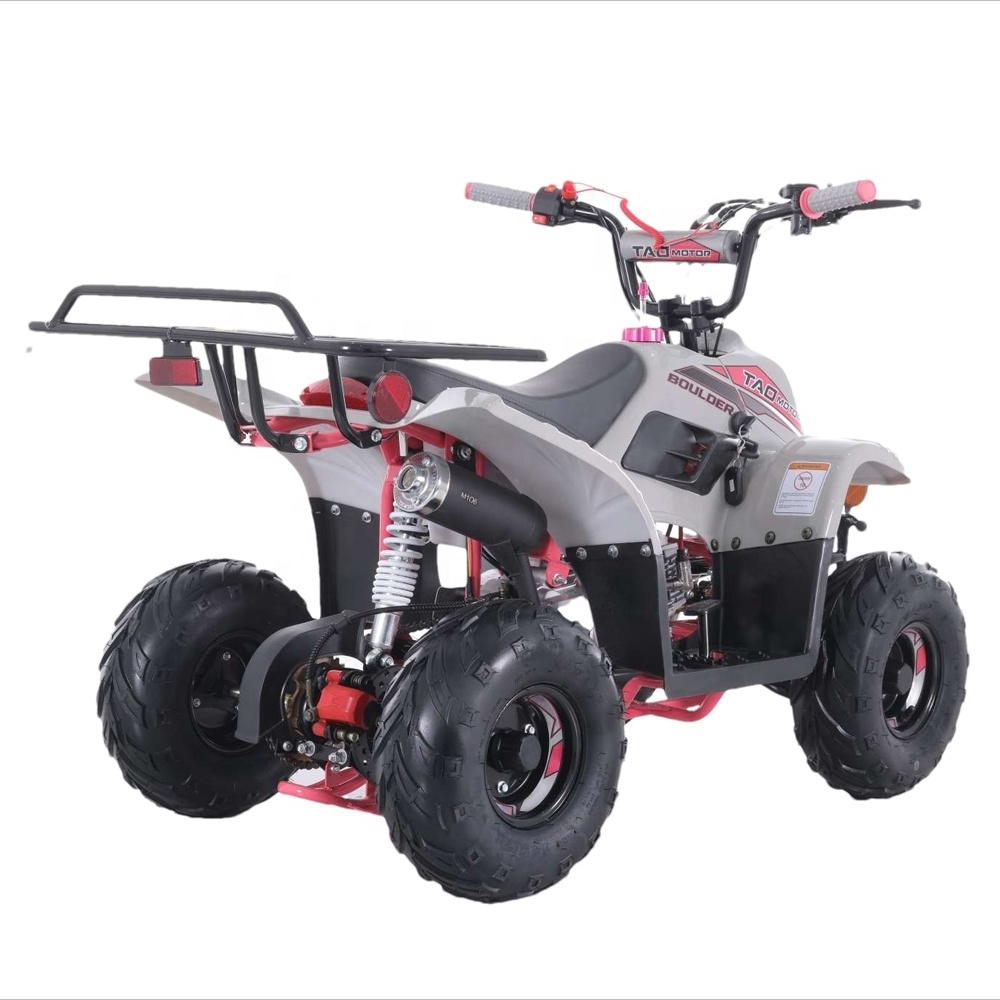 Tao Motor Gasoline Automatic Chain Drive Quad ATV 110cc with Reverse Gear