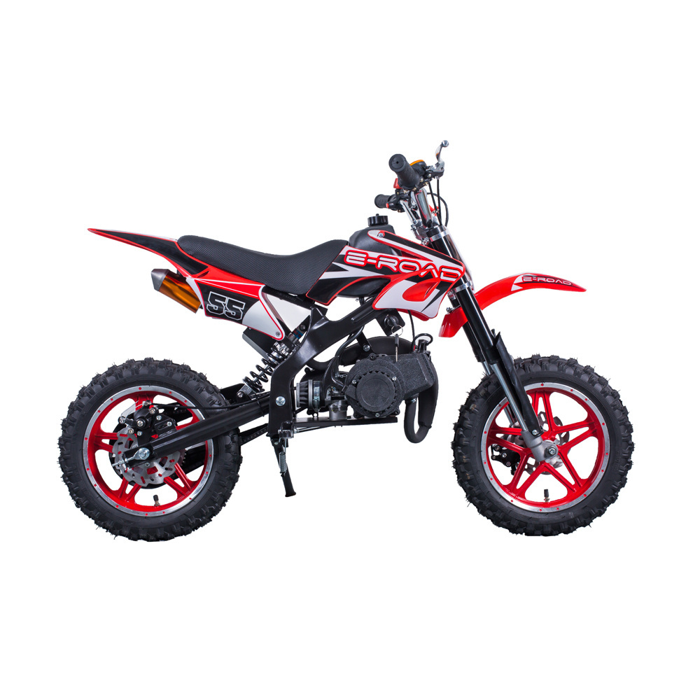 Tao Motor 2 stroke 49cc Kids Dirt Bike  DB10SA with CE