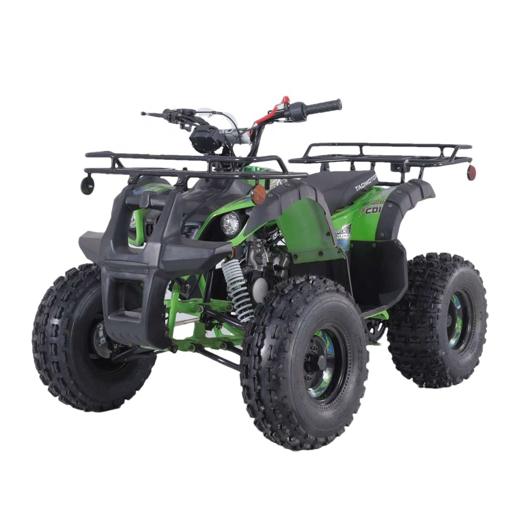 Tao Motor Kids Quadbike Off Road Vehicle 110cc ATV Automatic Atv 125cc Quad Bike Electric Start 125cc 4 Wheeler Chain Drive 2WD