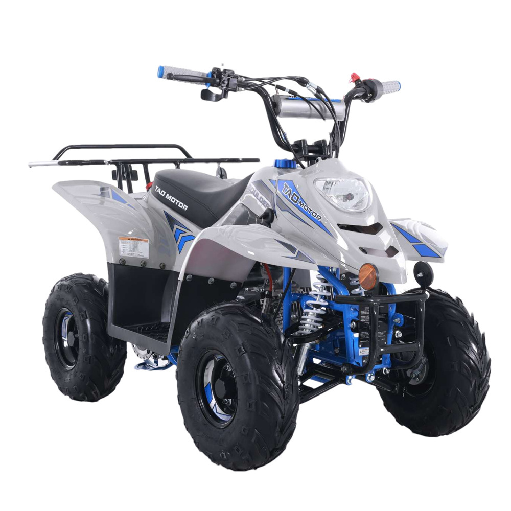 Tao Motor New Atvs 110cc ATV for Sale Quadricycle Beach Buggy Design Kids Automatic Off Road Buggy 15 Year Old Electric for Kids