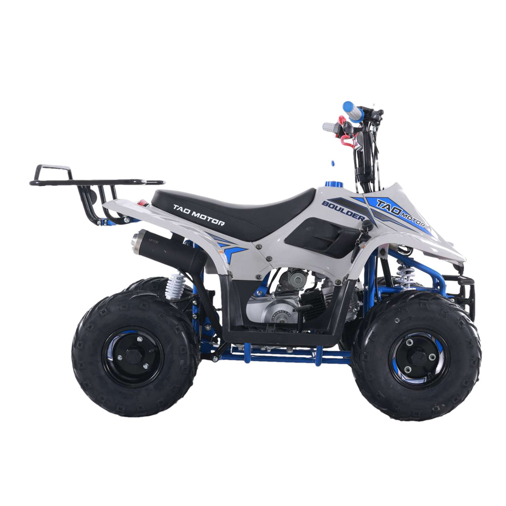 Tao Motor New Atvs 110cc ATV for Sale Quadricycle Beach Buggy Design Kids Automatic Off Road Buggy 15 Year Old Electric for Kids