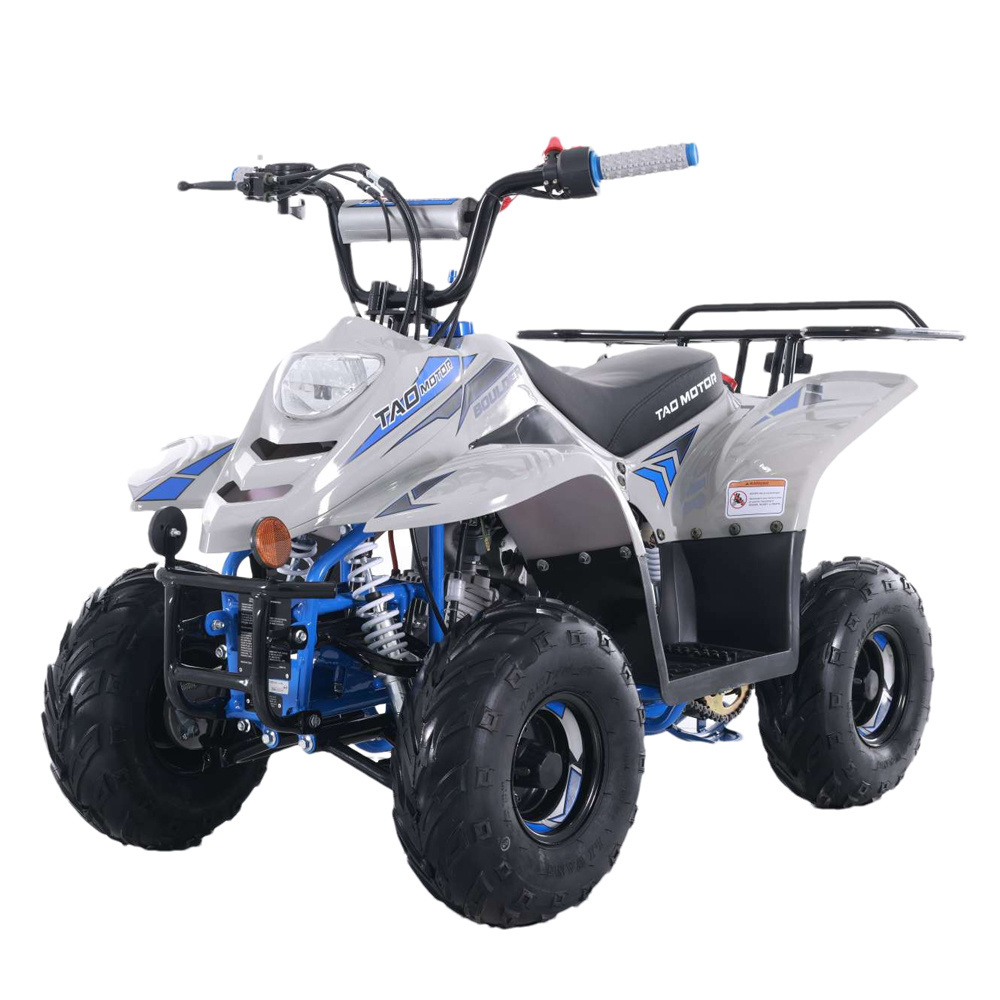 Tao Motor New Atvs 110cc ATV for Sale Quadricycle Beach Buggy Design Kids Automatic Off Road Buggy 15 Year Old Electric for Kids