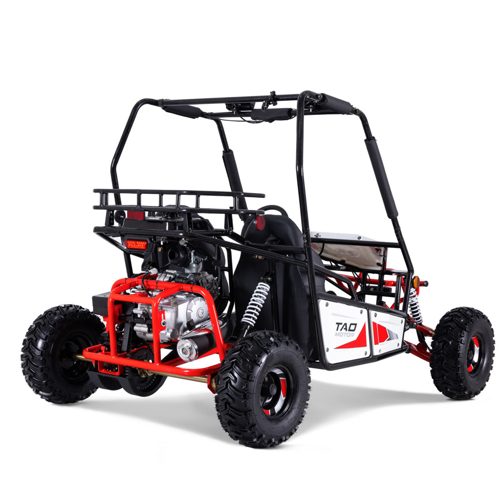 Tao Motor 2023 New Design Buggy 125cc Electric Go Karts for Adults