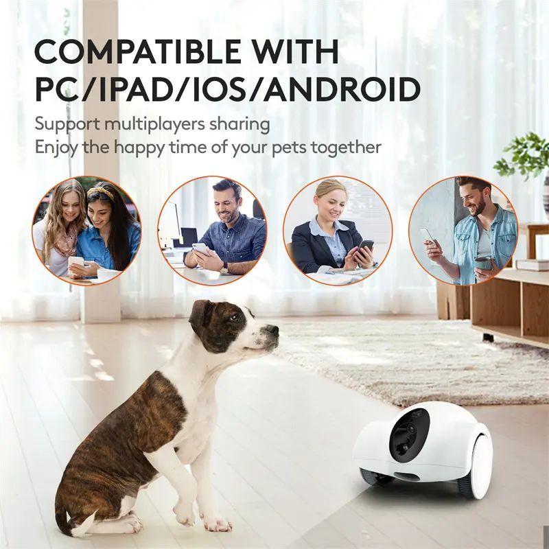 Wholesale New Design WIFI Full HD 1080P Pet Companion Laser Toy Food Treat Dispenser Cat Dog Interactive Toys