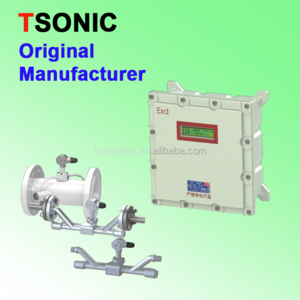 TSONIC TUF-2000D Explosion Proof Inline Ultrasonic Flowmeter