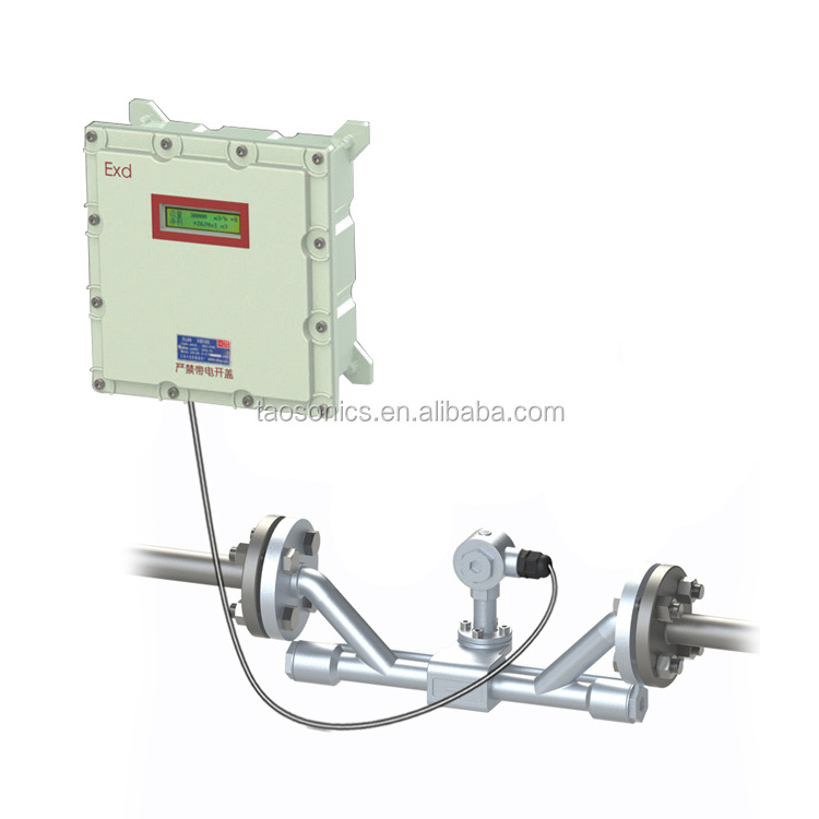 TSONIC TUF-2000D Explosion Proof Inline Ultrasonic Flowmeter