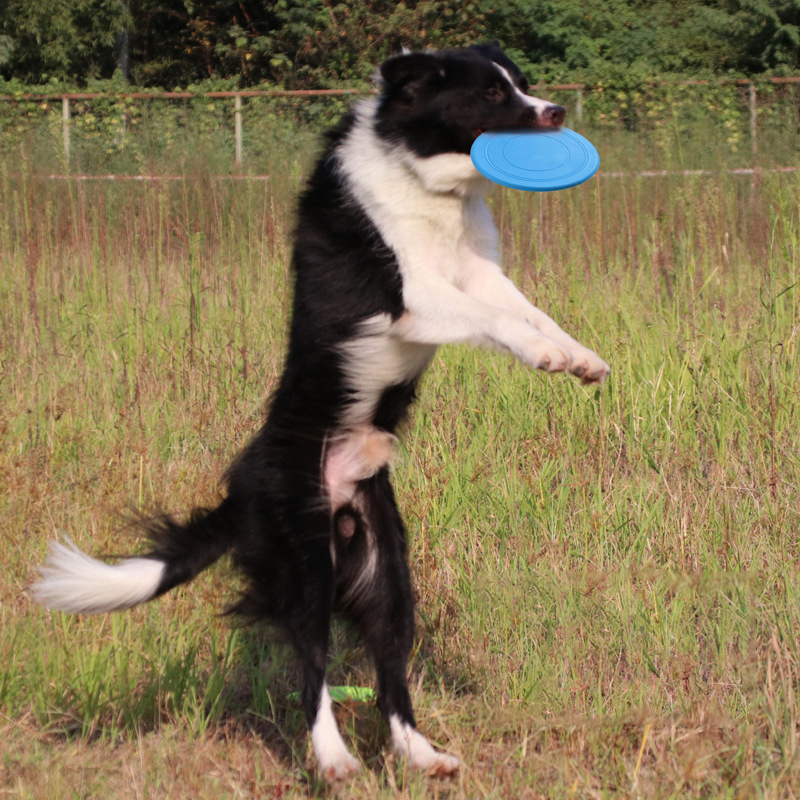 Custom Logo 7 Inch Dog Pet Interactive Training Floating Water Soft Flying Disc Dog Pet Training Flying Throw Catch Disc toy