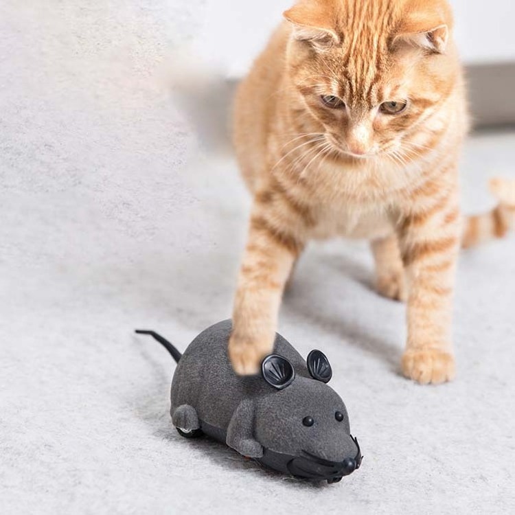 New arrival Funny Chasing Electric Kitten Toy Simulation Electric Mouse cat toy Remote Control Toy for Cats