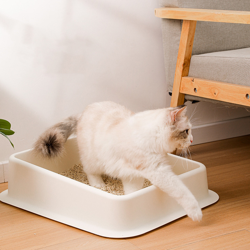 Cat Litter Box Never Absorbs Odor Stains or Rusts No Residue Build Up Easy Cleaning Litter box Design