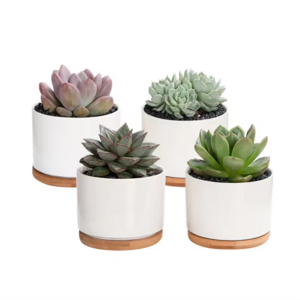 Mini Artificial Ceramic Succulent Pots White Living Room Decoration Flower Pots Bulk Pot With Bamboo Tray