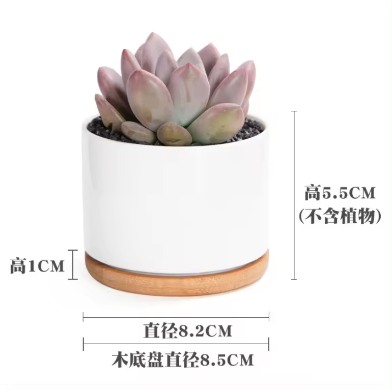 Mini Artificial Ceramic Succulent Pots White Living Room Decoration Flower Pots Bulk Pot With Bamboo Tray