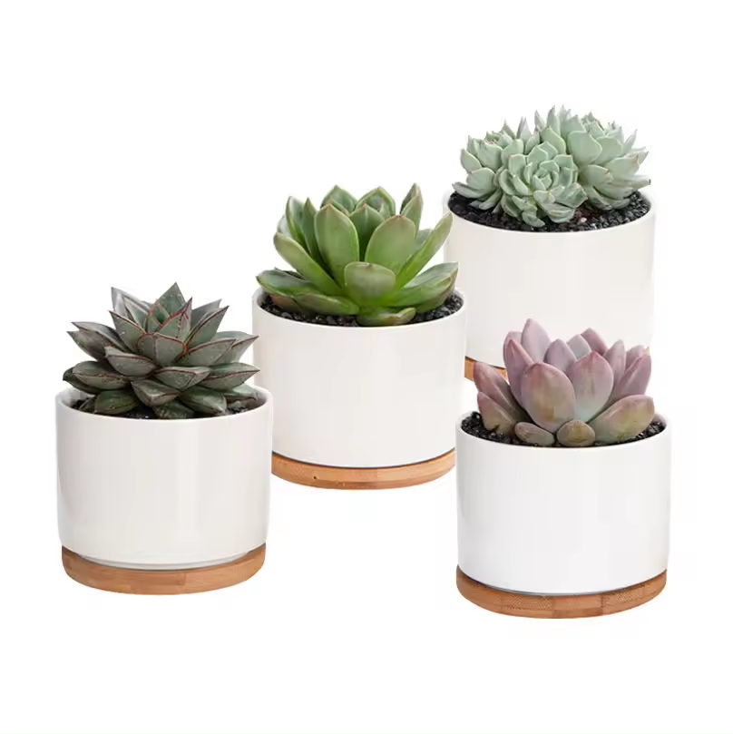 Mini Artificial Ceramic Succulent Pots White Living Room Decoration Flower Pots Bulk Pot With Bamboo Tray