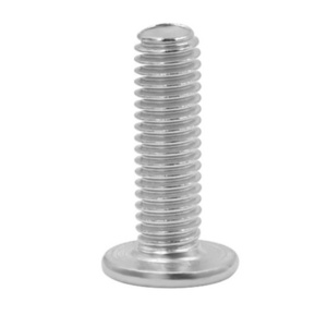 M2 M2.5 M3 M4 M5 M6 M8 Stainless Steel Allen Wafer Ultra Low Profile Thin Flat Head Hexagon Socket Machine Screws