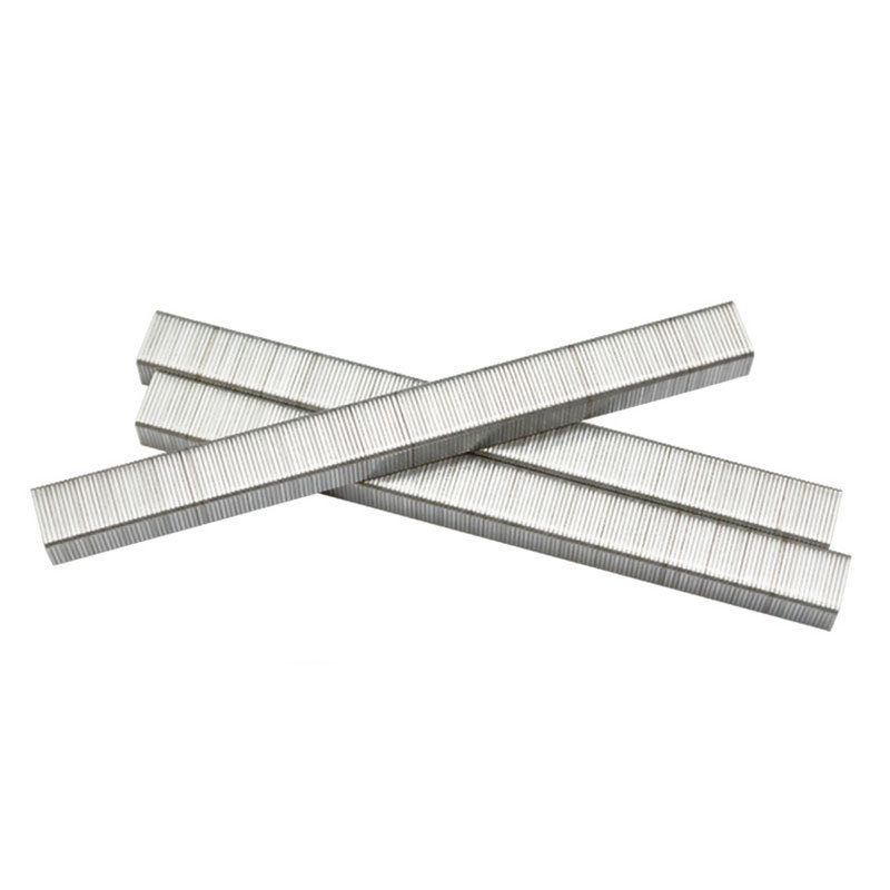 China Factory Price Galvanized Carbon Steel / Stainless Steel Crown Staples