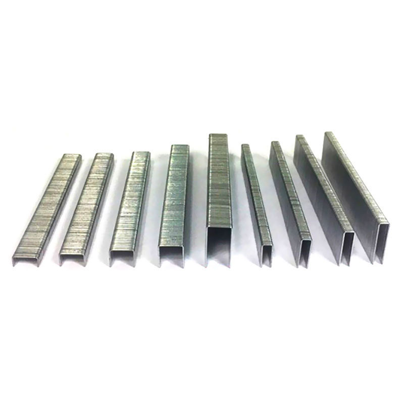 China Factory Price Galvanized Carbon Steel / Stainless Steel Crown Staples