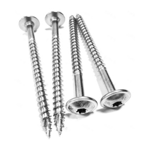 Hot Selling Torx Star Drive Structural Screws Lag Screws Ctx Ss304 Stainless Steel Wood Deck Screw