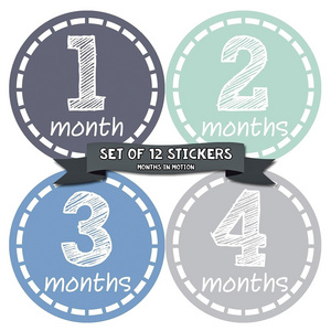 Newborn Monthly Milestone Stickers Per Month of Your Baby's First Year Growth and Holidays Unisex Safari Newborn Gender Neutral