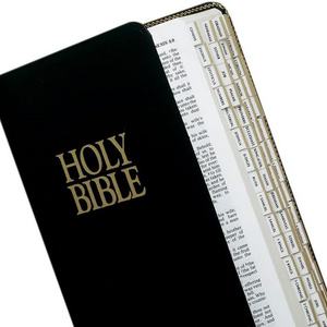 Tabbies Mini Gold-Edged Bible Indexing Tabs Old and New Testament Colorful Laminated Bible Tabs Journaling Catholic Bible Book