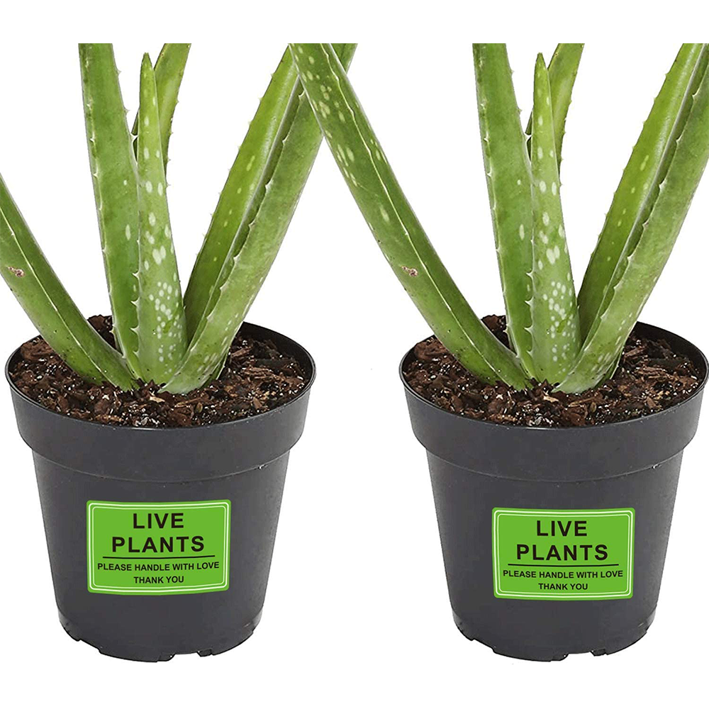 Custom Green Live Plants Please Handle with Love Fragile Shipping Labels Stickers