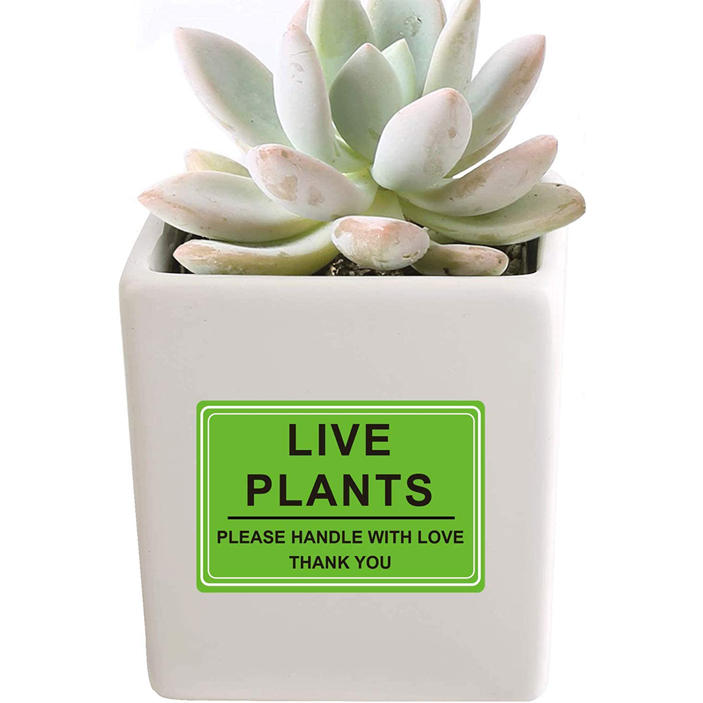 Custom Green Live Plants Please Handle with Love Fragile Shipping Labels Stickers