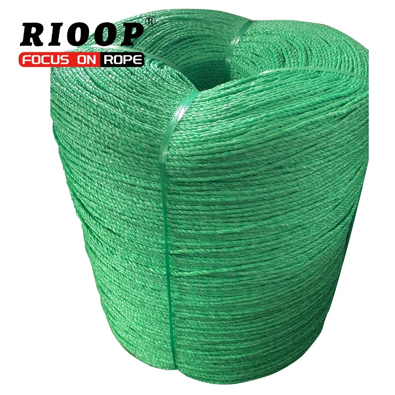 Professional Factory Supply PE Monofilament Rope Twisted Plastic Fishing Rope Cord