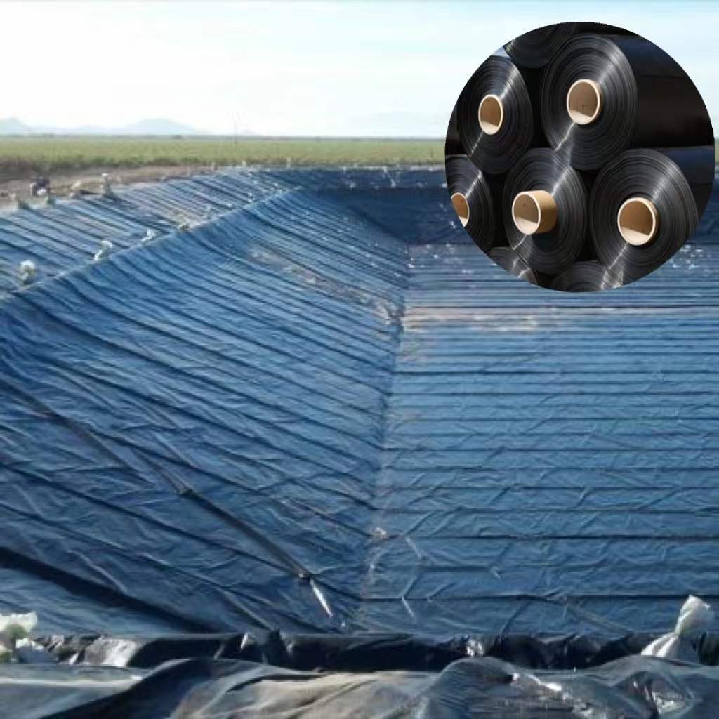 1mm 1.5mm Circular Fish Farm Plastic Water Tanks HDPE Geomembrane Liner for Aquafarm