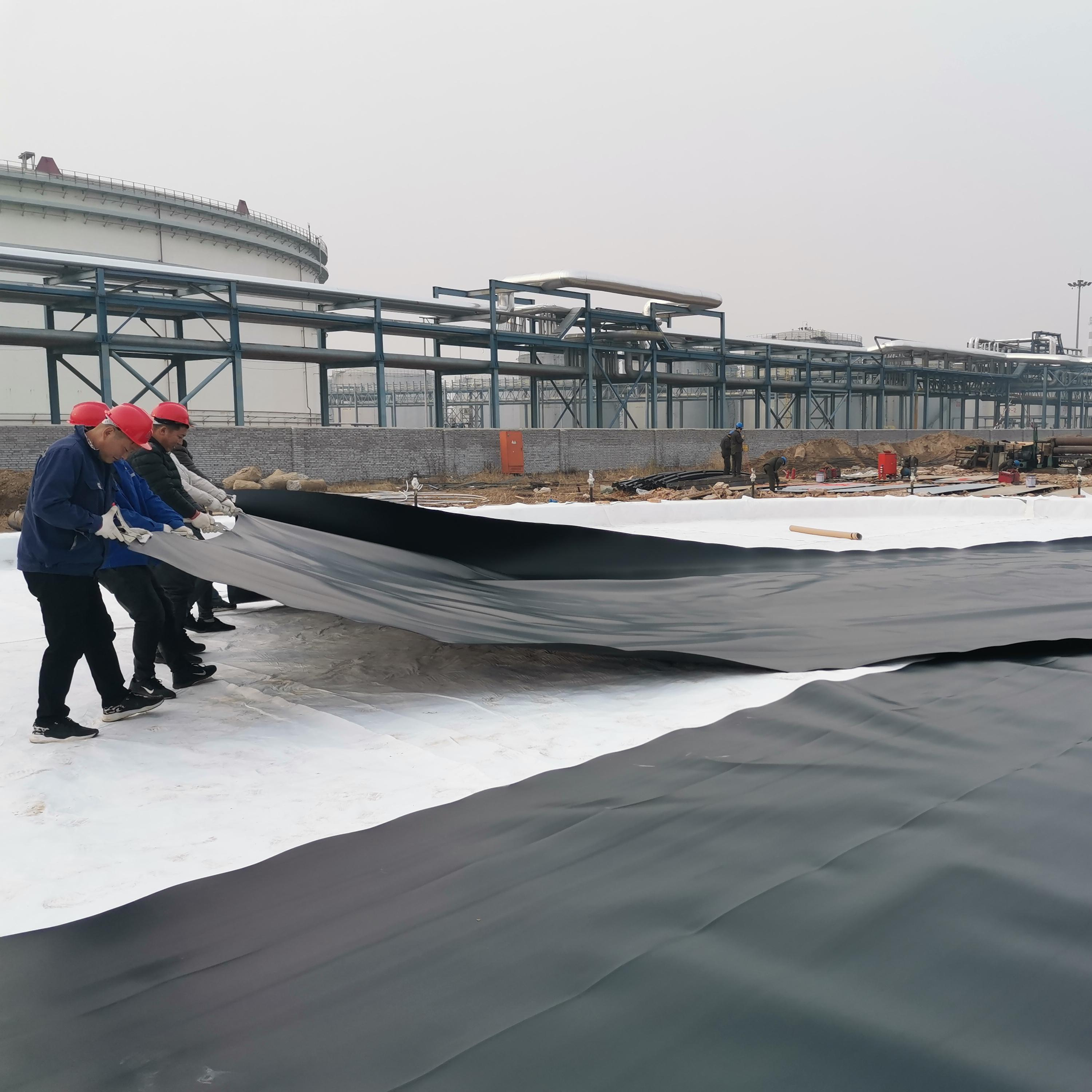 1mm 1.5mm Circular Fish Farm Plastic Water Tanks HDPE Geomembrane Liner for Aquafarm