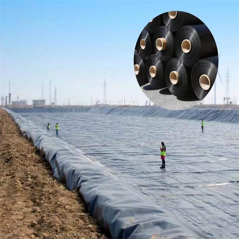 1mm 1.5mm Circular Fish Farm Plastic Water Tanks HDPE Geomembrane Liner for Aquafarm