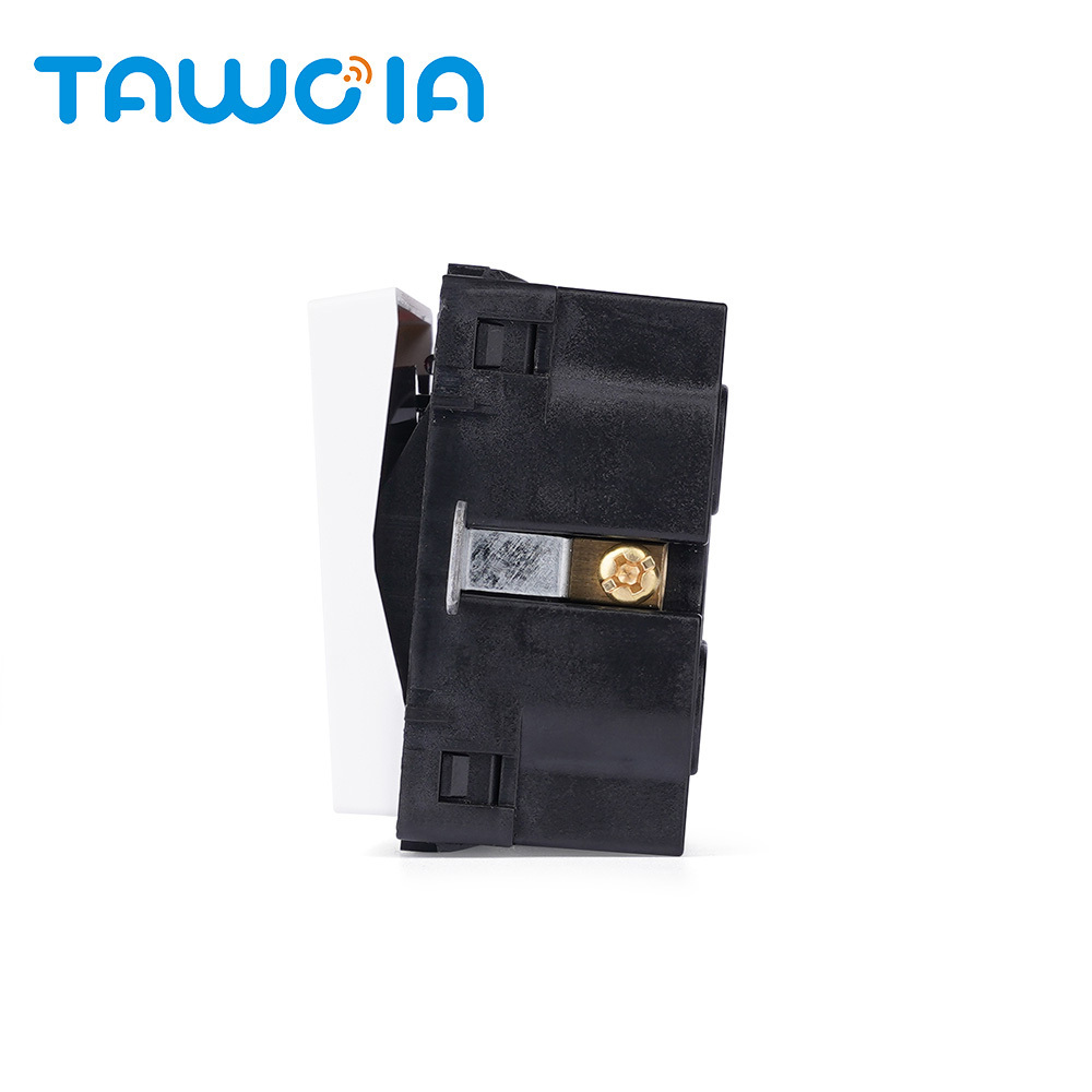 TAWOIA 20A Double Pole Wall Switch Mechanical Function Module With Neon Indicator Light White Color Rocker Type Toggle Switch