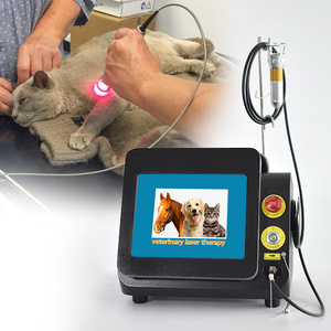 2024 Class 4 therapy laser High intensity physiotherapy veterinary animal equipment laser therapy